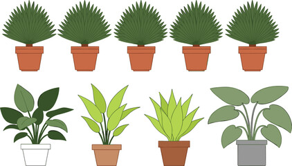 Fototapeta premium Set of indoor potted plants flat vector collection of decorative houseplants for home interior design and gardening illustration
