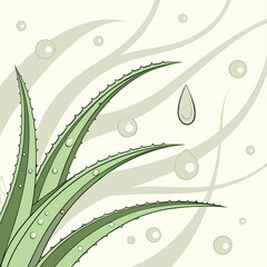 A vector graphic illustration of an aloe vera plant with water droplets on its leaves and a minimalist background