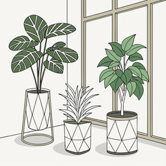 A minimalist vector illustration of three potted plants in a modern room with a large window