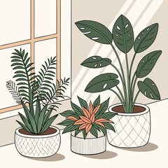 A vector illustration of three potted plants on a windowsill with a beige background
