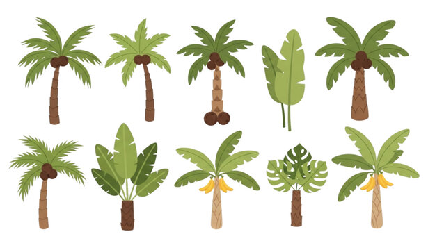 Cartoon tropical palm tree vector set coconut banana jungle rainforest island resort nature illustration