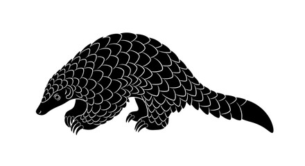 Obraz premium Pangolin isolated on white background, black and white illustration.