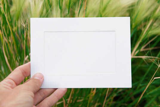 Blank card mockup held over green grass for presentation
