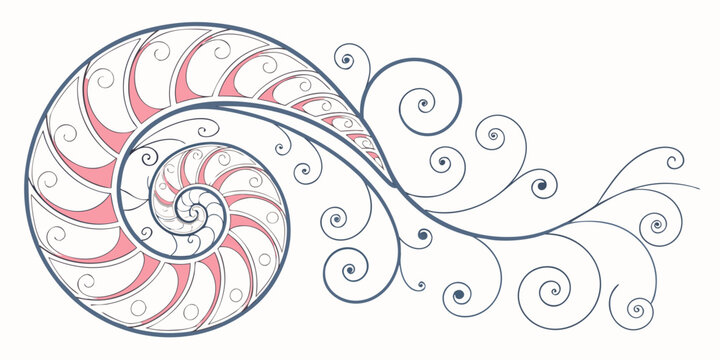 Nautilus shell spiral fibonacci sequence illustration with golden ratio pattern design abstract art marine life growth pattern nautilus fibonacci sequence mathematics