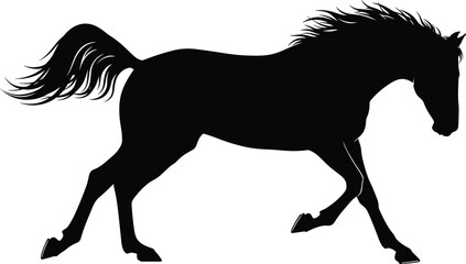 Running horse silhouette with flowing mane and tail, dynamic black vector illustration of equine motion, powerful farm animal graphic for logo, nature, and western design © MstRupali
