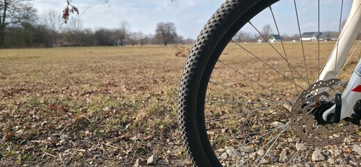 bicycle on the road trip, glade, wheel, spoke, tire, near Warsaw in Poland © mobile