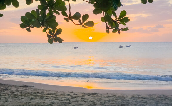 Peaceful sea sunset framed by tropical leaves, Castara, Tobago, Trinidad and Tobago, March 10, 2026.