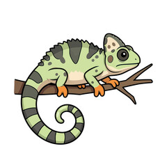 Fototapeta premium Cartoon Chameleon Vector Icon on Branch