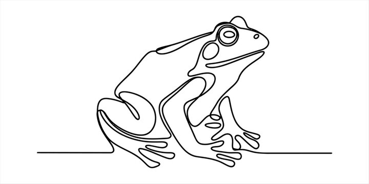 Minimalist continuous single line drawing of a small frog sitting on a plain white background. Vector, illustration