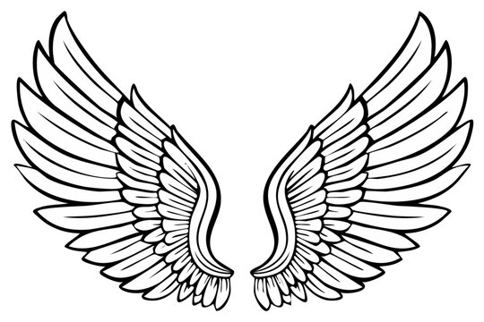 Illustration of stylized symmetrical wings with feathers, line art
