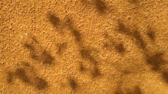 Brown wall background with foliage shadows on an old rough wall
