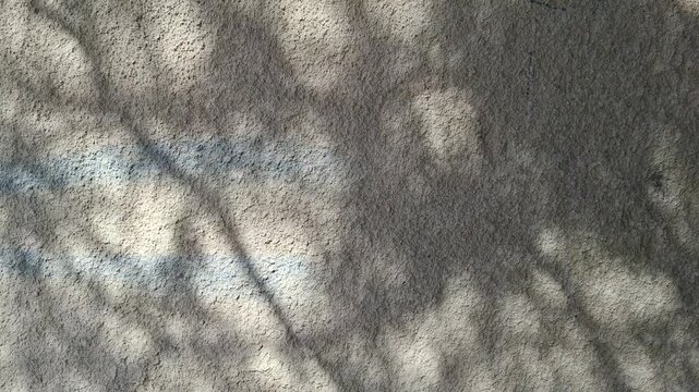 gentle foliage shadows on an old and rough wall background