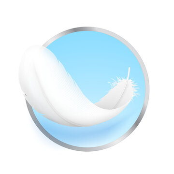 Bird feather mockup. Symbol for indicating that a product is lightweight, soft, gentle, hypoallergenic and etc. Hight realistic vector illustration on colour background. EPS10.