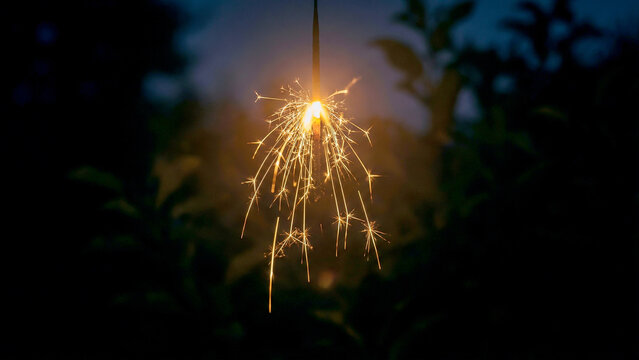 Delicate senko hanabi sparkler with soft garden twilight background