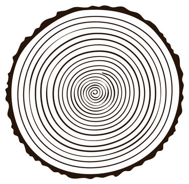Black and white graphic illustration of a tree ring pattern a circular cross section of a log