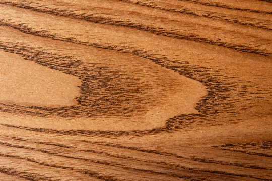 wood texture natural background surface with old natural oak pattern
