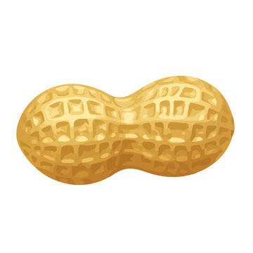 Peanut Image, Photography, Food and Agriculture Concept, Healthy Eating
