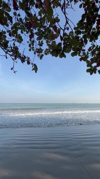 Beach shoreline summer holiday