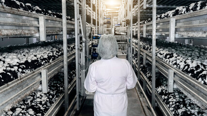 White-coated worker surveys bright indoor mushroom farm, rows of white button mushrooms thriving in dark beds © aapsky