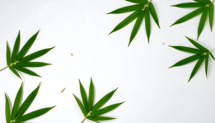 Fototapeta premium Overhead shot of fresh green bamboo leaves arranged on a pure white backdrop with scattered small seed-like objects