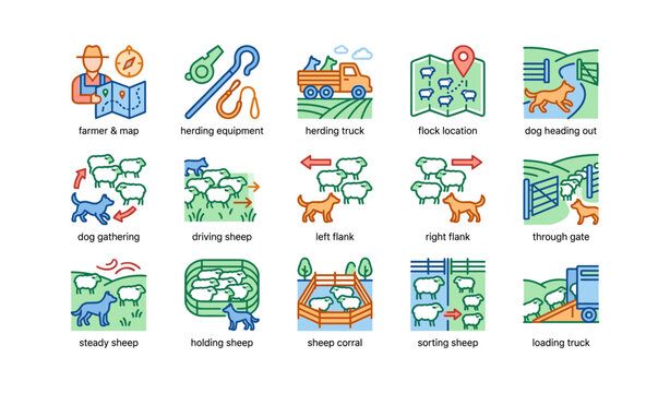 Sheep herding process icons with equipment, trucks, dogs, and corral graphics