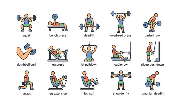 Illustrated guide to classic weightlifting exercises with equipment