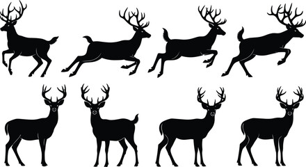 Collection of wild deer and reindeer silhouettes in various poses including jumping, standing, and running, black animal shapes vector illustration for nature design projects. © MdAriful