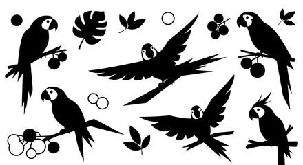 Black silhouettes of tropical parrots, including macaws and cockatoos, with jungle leaves and berries, isolated on a white background, in various poses. © Avoxel