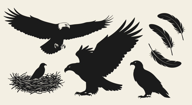 Collection of black silhouettes depicting various eagles in flight and standing, along with a chick in a nest and individual feathers.