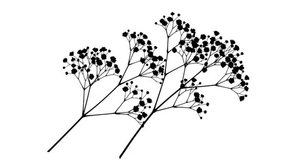 A delicate black and white illustration of a sprig of baby's breath flowers with tiny blossoms. © Avoxel