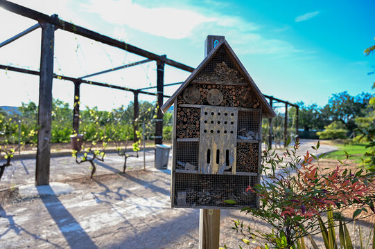 Insect house in a gardeb