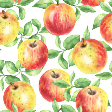 Seamless pattern of apples and leaves white