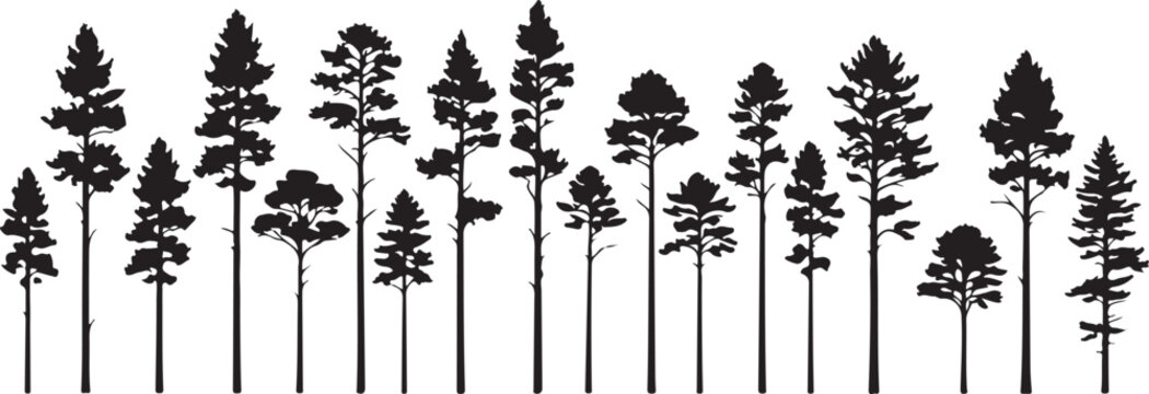 Cloud Server Security Icon with Shield and Checkmark