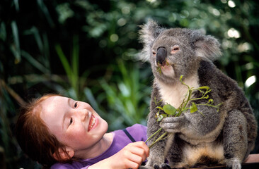 Child with Koala Bear © Peter Phipp Video