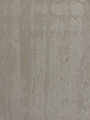 Fototapeta premium Pale monochromatic silver-grey surface with a flat matte finish.