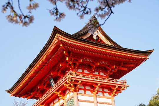 Niomon Gate at Kiyomizu-dera Temple with Full Bloom Cherry Blossoms, Spring in Kyoto, Japan - 日本 京都 清水寺 仁王門と満開の桜 日本の春の風景 伝統的な赤い門
