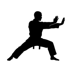 Silhouette of a martial artist in a karate or kung fu stance © ZamStock