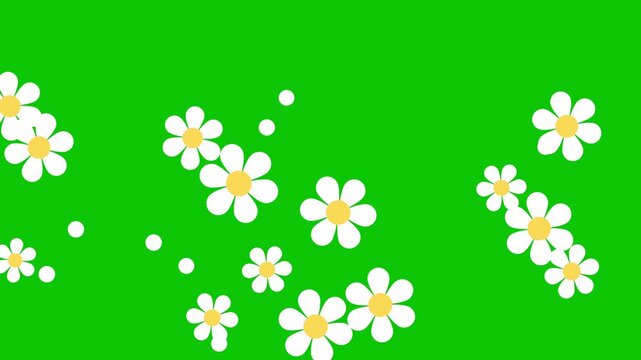 Animation of white flowers fluttering and spinning against a green background