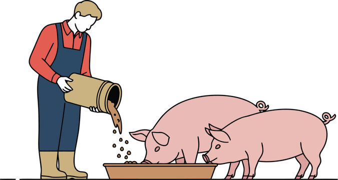 Farmer feeding pigs minimal farm vector illustration.