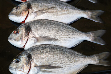 Obraz premium Çupra fresh sea ​​bream fish on a dark board