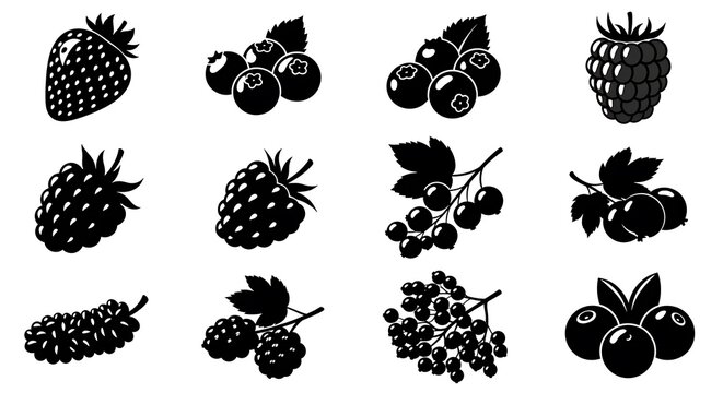 Black and white berry illustrations.