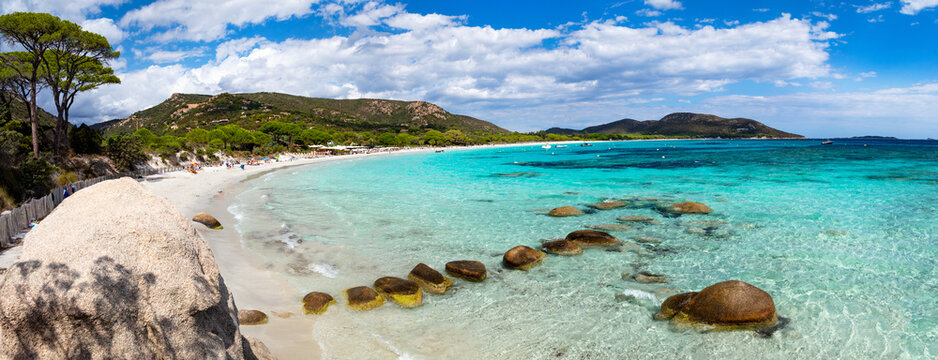 Tamaricciu beach Corsica 14k panorama of turquoise sea and pine trees in France. Scenic view of tropical crystal water and granite rocks in Porto-Vecchio. Mediterranean travel Exotic Tropics in Europe