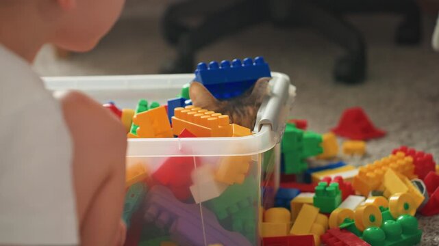 Young son plays with colorful blocks, reaches into plastic toy bin to sort interlocking bricks, closeup of hands on carpet, warm natural light, imaginative builder at play, focused gentle mood