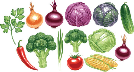 Fresh vegetable collection illustration featuring cabbage, broccoli, tomato, onion, cucumber, chili, corn, and herbs in colorful detailed vector style © MstKhyrun