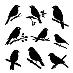 Fototapeta premium Collection of Bird Silhouettes on Branches
