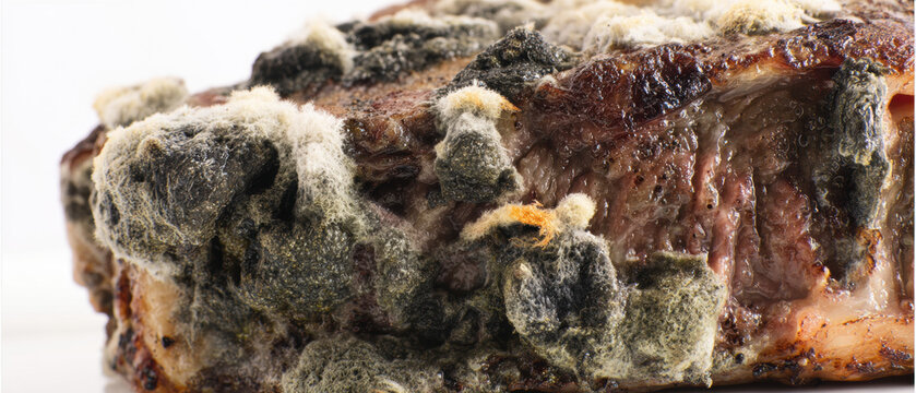 Spoiled dry steak with mold patches showing food decay and contamination signs.