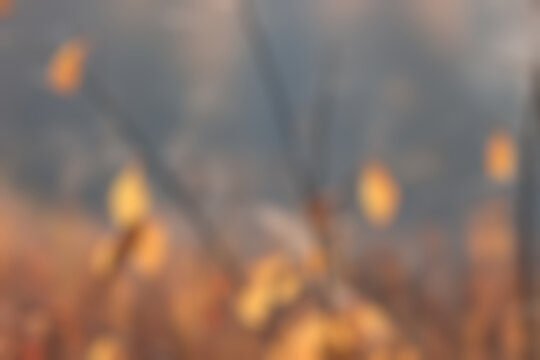 Blurred background abstract autumn landscape gradient defocus