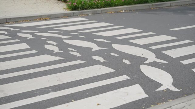 Zebra crossing on road with shadows urban transport background