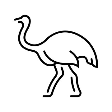 Ostrich bird icon. Nature and birds line symbol. Black and white.