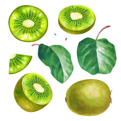 Fototapeta premium Watercolor collection of fresh kiwi fruits. Set with whole kiwi, halves showing the detailed pulp and seeds, juicy slices, and green leaves. Botanical illustration with realistic textures isolated on